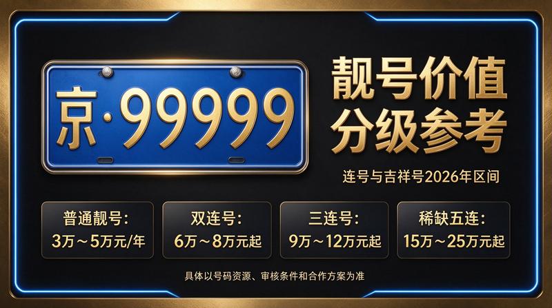 闲置北京指标京牌大的出租公司业务展示